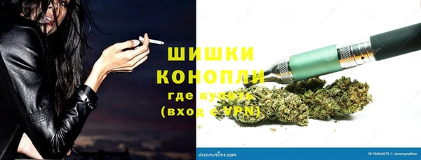 бошки Аркадак