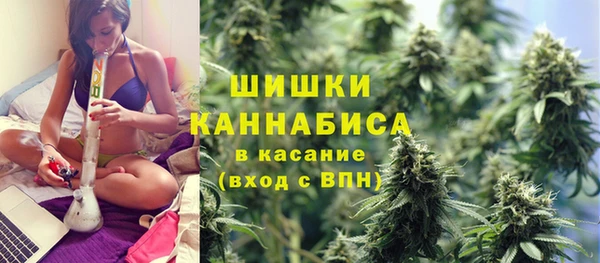 бошки Аркадак