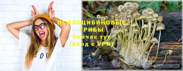 прущие крисы Арсеньев