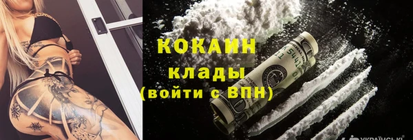 бошки Аркадак